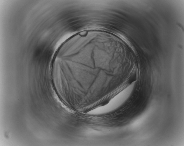 X0000099531053200806131123