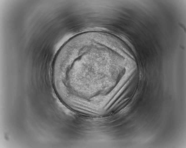 X0000099531054200806131123