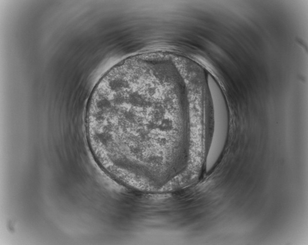 X0000099531055200806131123