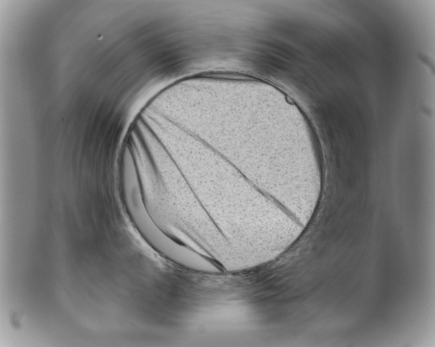 X0000099531056200806131123