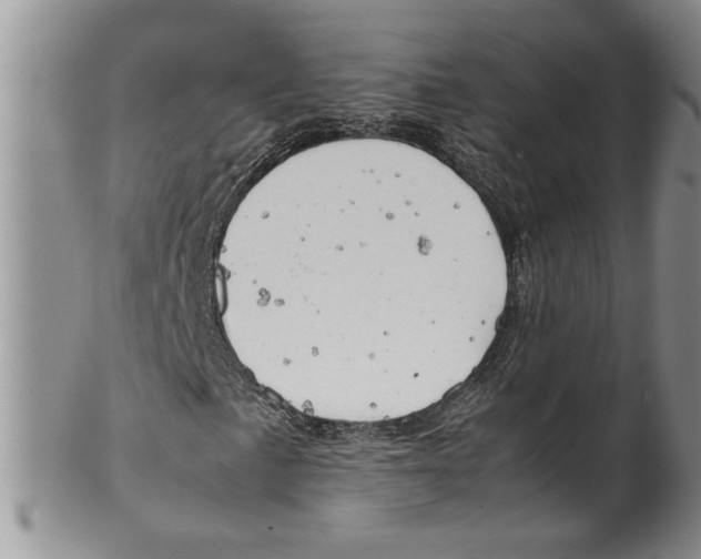 X0000099531057200806131122