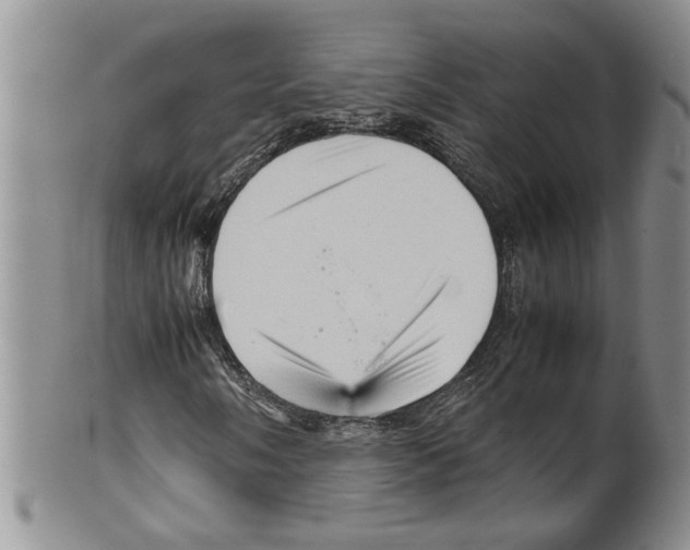 X0000099531058200806131122