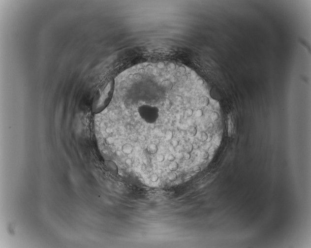 X0000099531059200806131122