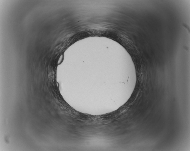 X0000099531061200806131122