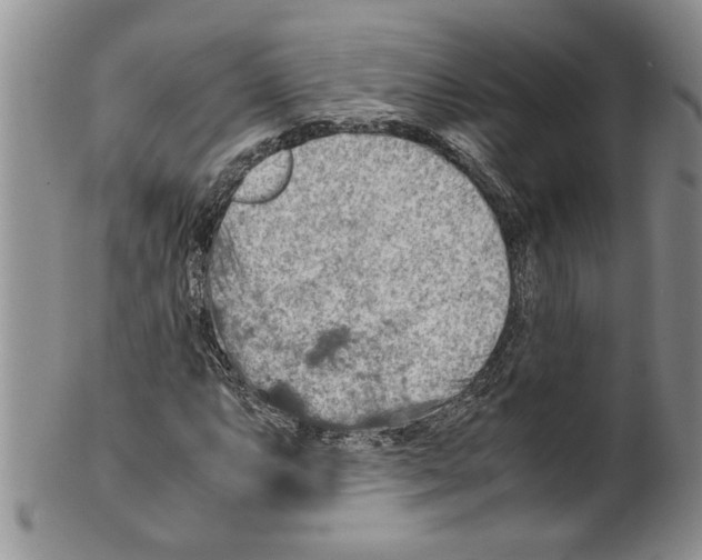 X0000099531063200806131122