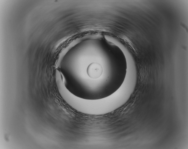 X0000099531064200806131122