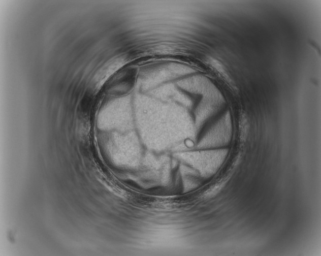 X0000099531065200806131122