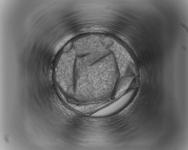 X0000099531066200806131122