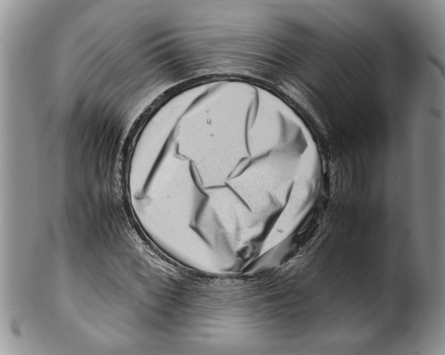 X0000099531068200806131122