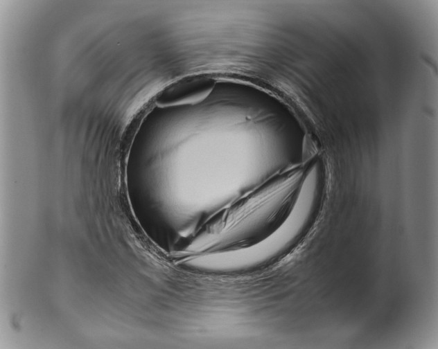 X0000099531069200806131122