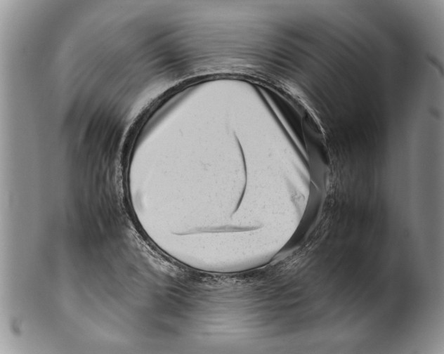 X0000099531072200806131122