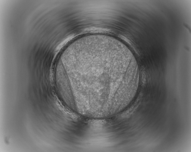 X0000099531074200806131122