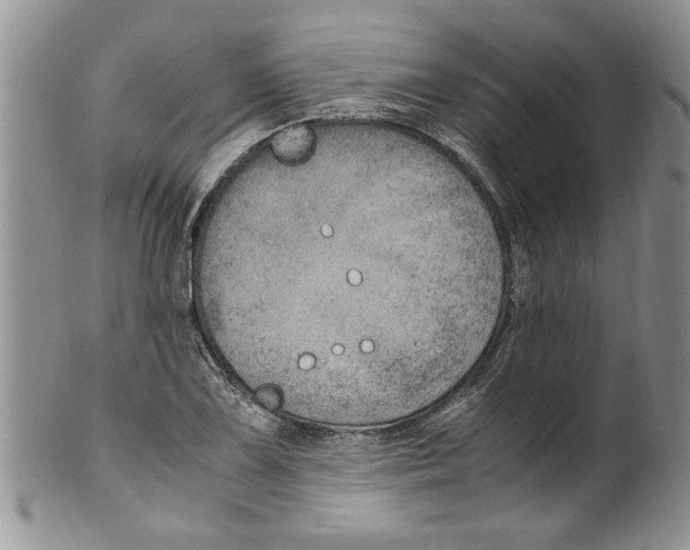 X0000099531075200806131122