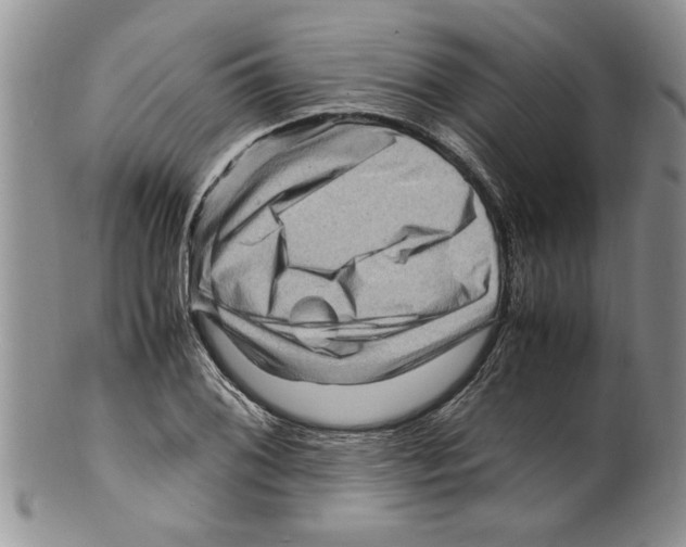 X0000099531076200806131122