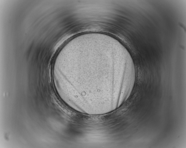 X0000099531078200806131122