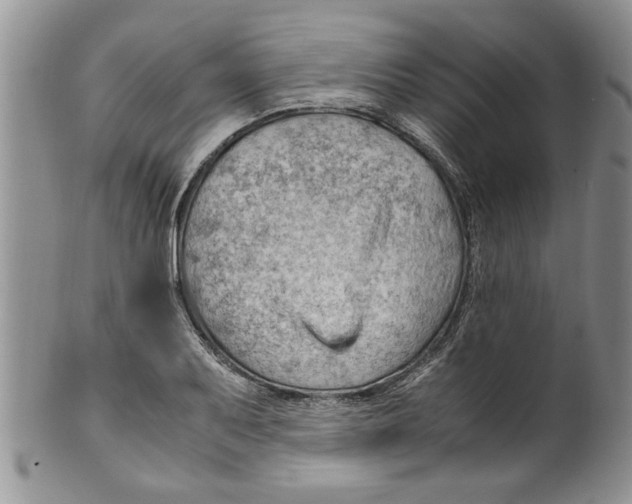 X0000099531079200806131122