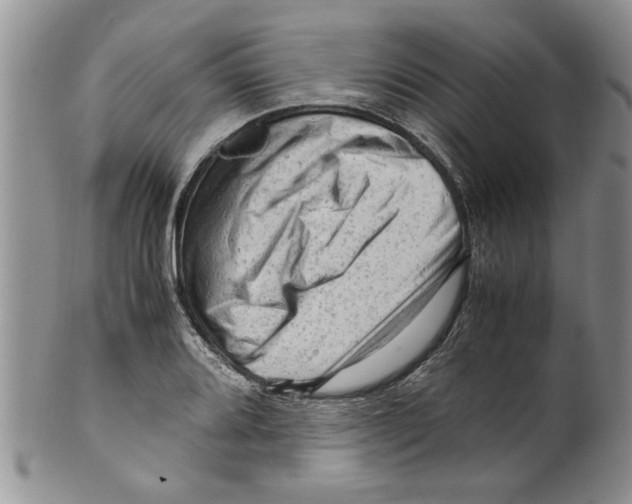 X0000099531080200806131122