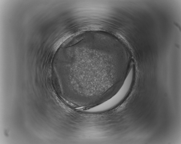 X0000099531081200806131122