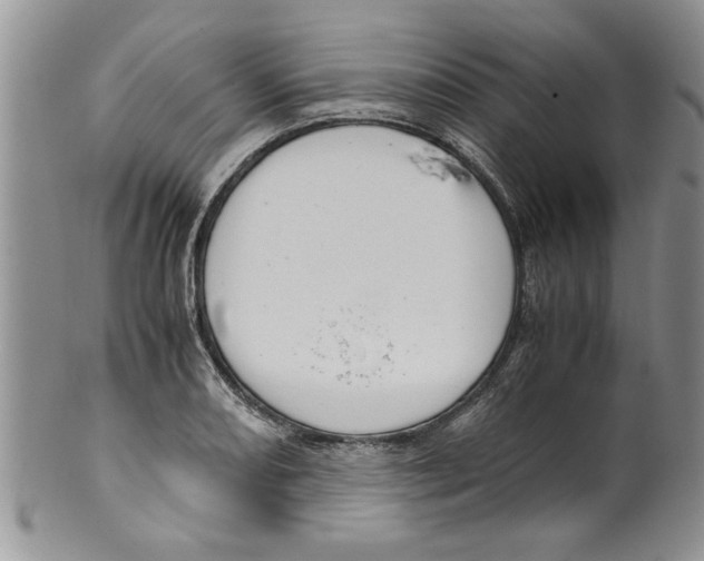 X0000099531082200806131122