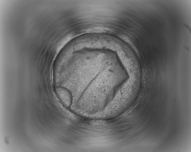 X0000099531083200806131122