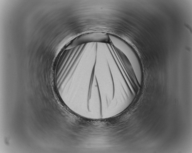 X0000099531085200806131122