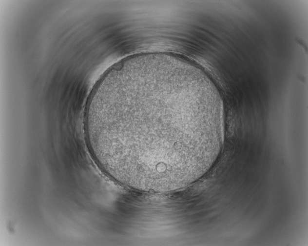 X0000099531086200806131122