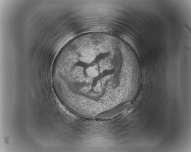 X0000099531087200806131122