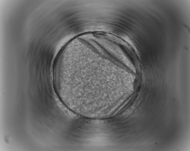 X0000099531088200806131122