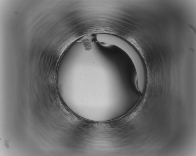 X0000099531089200806131122