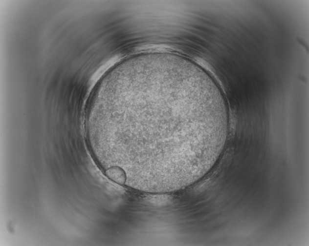 X0000099531090200806131122