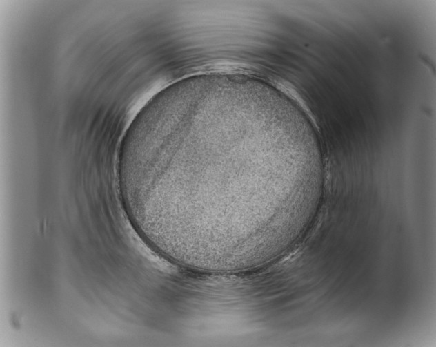 X0000099531091200806131122