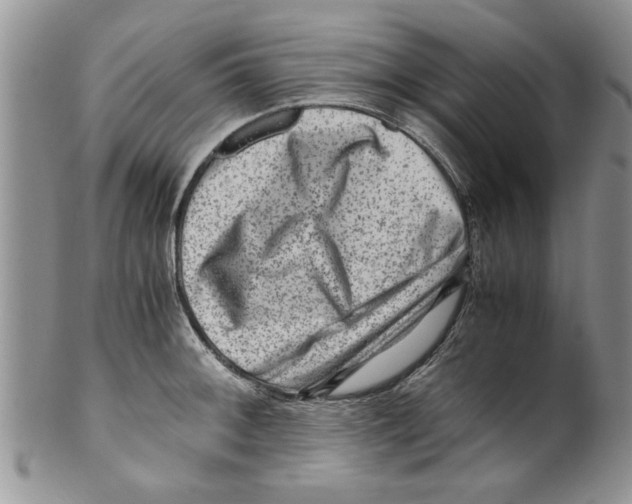 X0000099531092200806131122