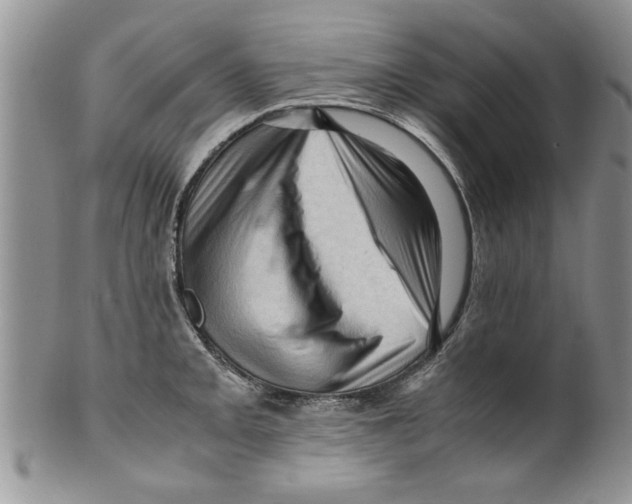 X0000099531093200806131122