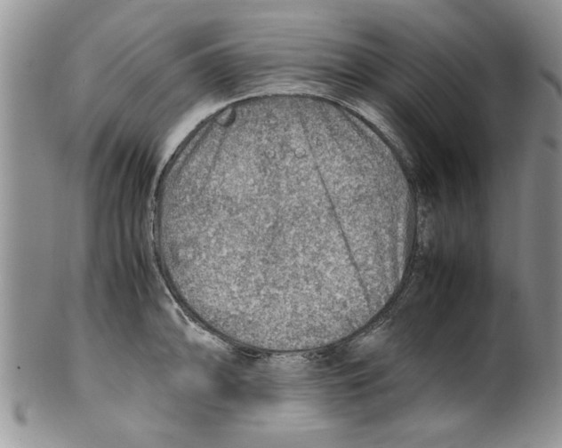 X0000099531094200806131122