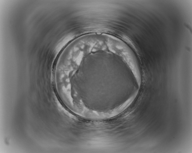 X0000099531095200806131122