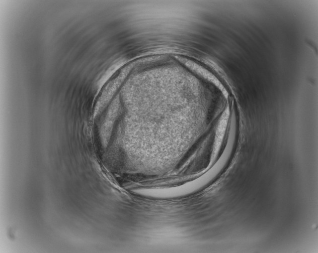 X0000099531097200806131122