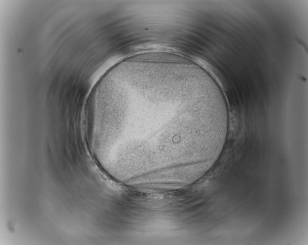 X0000099531098200806131122