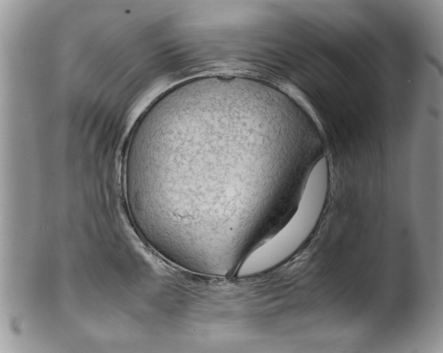 X0000099531099200806131122