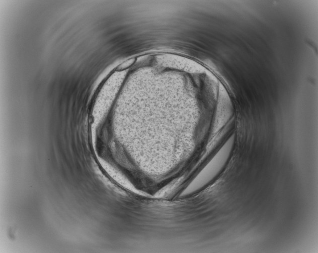 X0000099531100200806131122