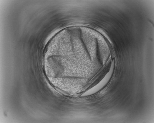 X0000099531101200806131122