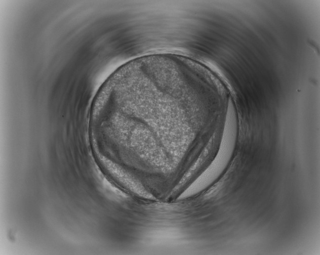 X0000099531102200806131122