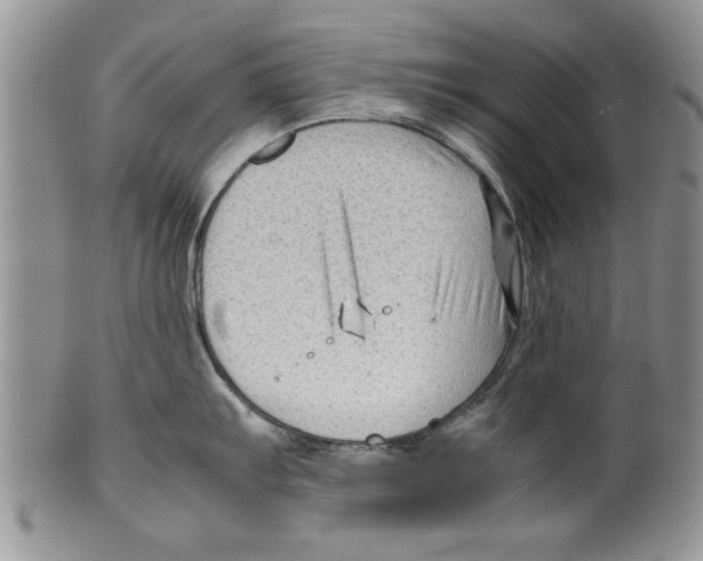 X0000099531103200806131122