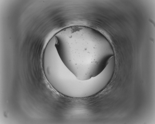 X0000099531104200806131122