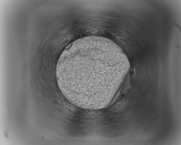 X0000099531105200806131121