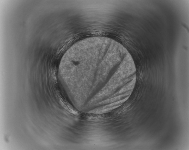 X0000099531106200806131121