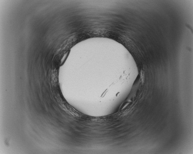 X0000099531107200806131121