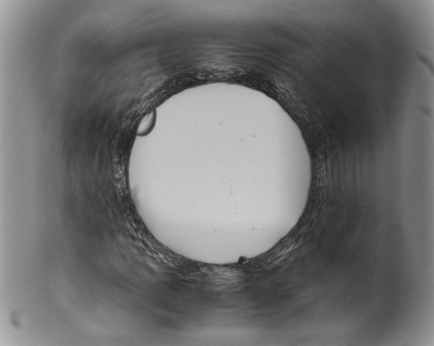 X0000099531109200806131121