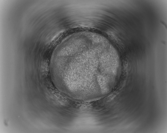 X0000099531110200806131121