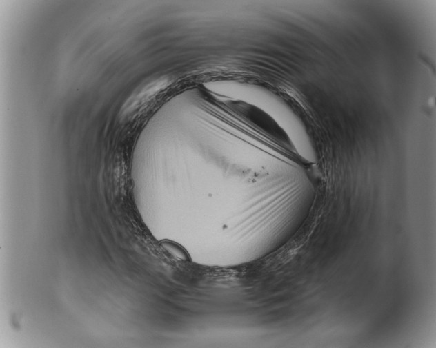 X0000099531111200806131121