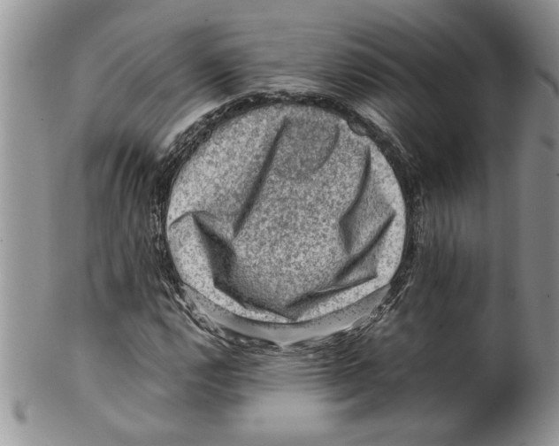 X0000099531112200806131121